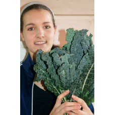 SPRAY FREE CAVOLO NERO 500GRAM Bunch Katikati Grown